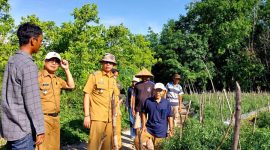 Foto ist : PJ Bupati OKU H Teddy Meilwansyah berbincang dengan petani cabai sekaligus meninjau perkebunan cabai di kecamatan sinar peninjauan OKU 