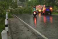 Foto : pohon tumbang menutupi setengah badan jalan akibat hujan angin kencang