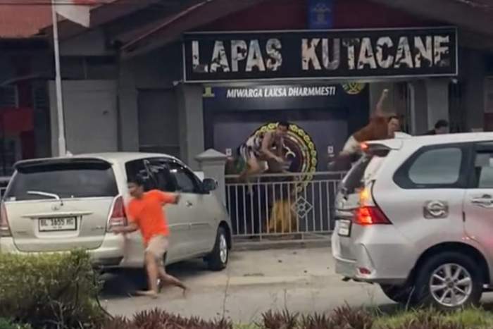 foto : napi kabur dari lapas Kelas II B Kutacane