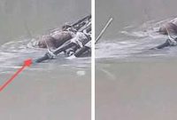 foto: mayat terapung di sungai