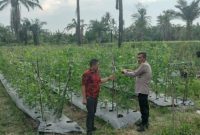 foto:Kapolsek Medang Deras AKP A H SAGALAH Melaksanakan Ke Giatan Penggerakan Warga Dalam Peningkatan Ke Tahanan Panggan