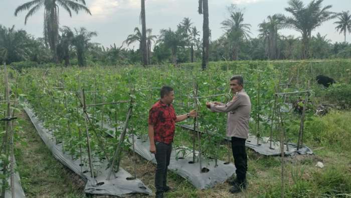 foto:Kapolsek Medang Deras AKP A H SAGALAH Melaksanakan Ke Giatan Penggerakan Warga Dalam Peningkatan Ke Tahanan Panggan