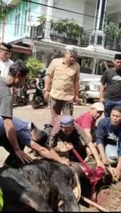 foto: suasana kurban di hari raya idul adha