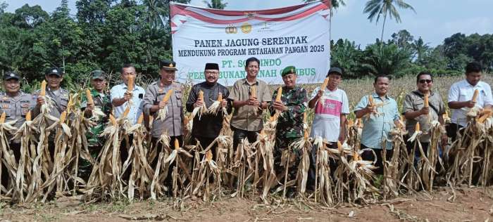 foto: kapolres Batu Bara panen jagung