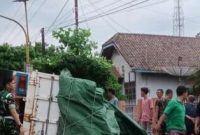 foto: truk bawa makanan hewan terguling
