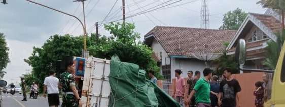 foto: truk bawa makanan hewan terguling
