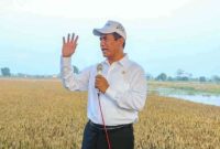 foto: Menteri pertanian Andi Amran Sulaiman