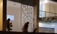 Massa Dobrak Rumah Nafa Urbach, Jarah Barang Berharga di Bintaro