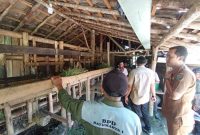 foto: camat Lubuk Raja bersama tim monev tinjau program ketahanan pangan