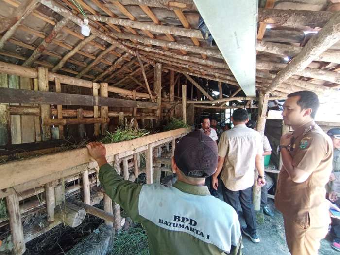 foto: camat Lubuk Raja bersama tim monev tinjau program ketahanan pangan