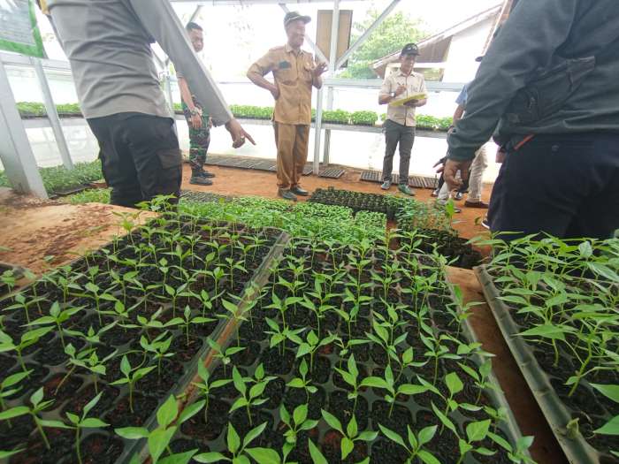 foto: tim monev dan kepala desa battu winangun berada di rumah bibit tanaman
