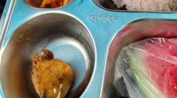 Ada Telur Lalat Di Menu MBG, Pihak Ketring Mengaku Hanya Disewa